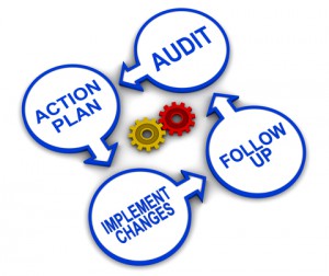 Audit, Action plan, implement changes, follow up