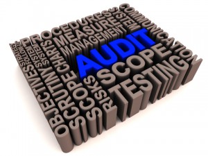Various text including scope, testing, measure with audit in blue