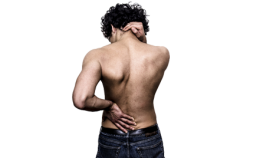 Low Back pain teaser